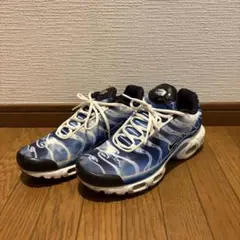 Nike Air Max Plus OG "Ice Blue"のサムネイル