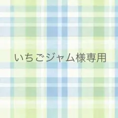 いちごジャム【購入時プロフ必読】様 リクエスト 2点 まとめ商品