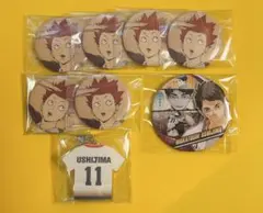 ハイキュー‼ ナツコミ 缶バッジ 天童覚 31個 バラ売り可 ハイキュー‼ ナツコミ 缶バッジ 天童覚 31個 バラ売り可