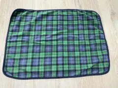 Item thumbnail for item 0c78e8dd-c3dc-4262-a1cf-8144c86b6aca