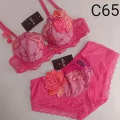 05045　新品　ワコール　サルート　ブラC65/ショーツM