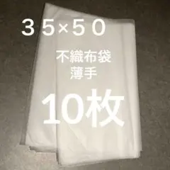 ３５×５０ 不織布袋 ２０枚 薄手 収納 保管袋 平袋 保護袋 ラッピング袋