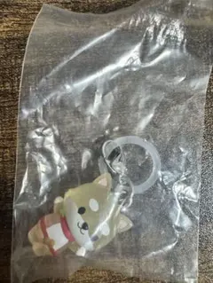 JOCHUM JO1 めじるしアクセサリー　まめちぃ