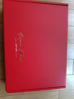 羽生結弦さん 東京ドーム公演 GIFT 非売品 チケットホルダー - メルカリ