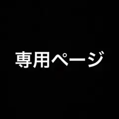 専用★maxmara Tシャツ 2点