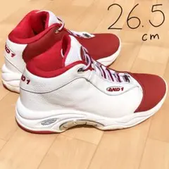 and1 taichimid 26.5cm
