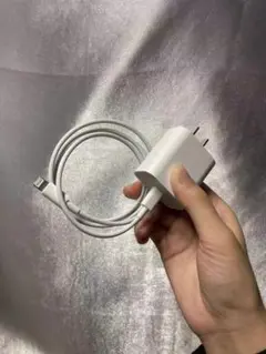 ホワイト充電器とLightningケーブル