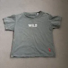 Item thumbnail for item a1d0aca7-edf8-43b0-bb9f-279096580c7b