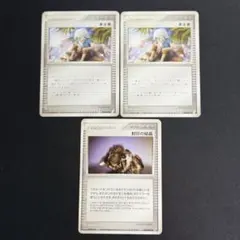 2026年最新】漂流 ポケモンカードの人気アイテム - メルカリ