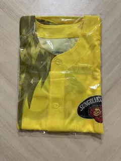 Item thumbnail for item 6816d069-aad7-47a2-b128-d89fa4010398