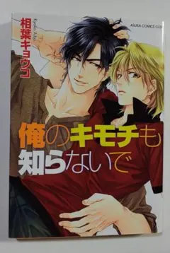 B25 俺のキモチも知らないで 相葉キョウコ ボーイズラブ BL漫画　利久BL