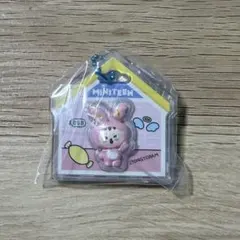 SEVENTEEN miniteen グミ ジョンハンのサムネイル