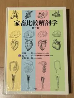 新編 家畜比較解剖図説 上巻・下巻 - メルカリ