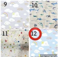 Item thumbnail for item dd30499a-236a-4521-9ad0-de9dac7d18f0