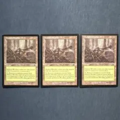 MTG MMQ ヒッコリーの植林地 日本語版 4枚セット - メルカリ