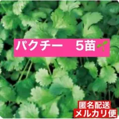 あやコ様 リクエスト 2点 まとめ商品