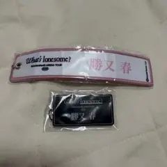 櫻坂46 勝又春 キーホルダーセット