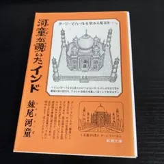 河童が覗いたインド