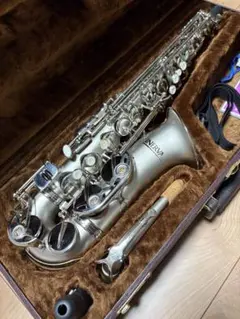 2026年最新】Minerva サックスの人気アイテム - メルカリ