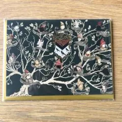 【土日限定値下げ中】ハリーポッター家系図メッセージカード