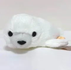 Item thumbnail for item c31c6aa8-1e17-4980-8555-a484512d9c54