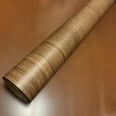 Item thumbnail for item 8dea4350-8964-42f1-8573-12c629f4050f