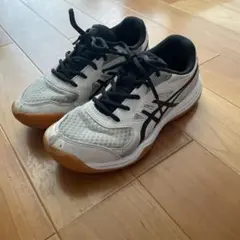배구 신발 체육관 신발 아식스 23cm UPCOURT 5