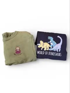 Item thumbnail for item d9633820-7a9b-4d2f-8448-787e27069be9