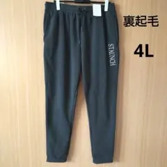 裏起毛 スウェット