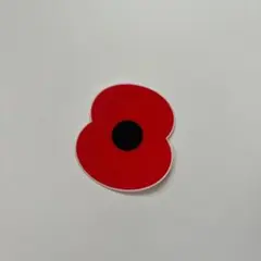 プレミアリーグ Premier League ポピー POPPY パッチ