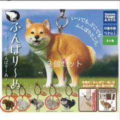 ふんばり〜ぬ 柴犬 ガチャ フィギュア