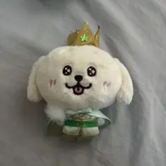 NCT WISH WISH DOLL ぬいぐるみ ジェヒ デントリバー - メルカリ