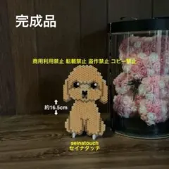 Item thumbnail for item 58757a54-857a-42ee-9a98-9705e52790bf