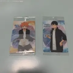 ハイキューウエハース5