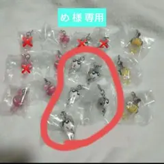 め様 専用ページ