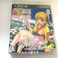 パチパラ15 スーパー海物語IN沖縄2 パチンコ PS3