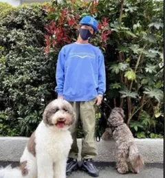 supreme warm up pant