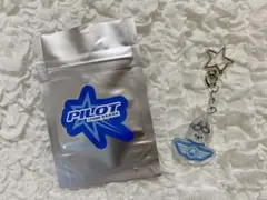 Stray Kids　スキズ　ペンミ　PILOT　ウルフチャン　バンチャン