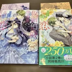 仮面伯爵は黒水晶の花嫁に恋をする1.2／ペーパー付き