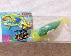 くじらアタック&co. アンドコ　セミクジラのサムネイル