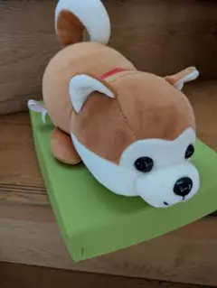 秋田犬 ぬいぐるみ スピードくじのサムネイル