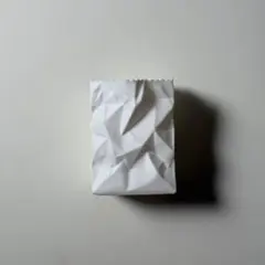 紙袋風の小物入れ / 3Dプリント