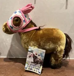 Item thumbnail for item fec5d991-6639-438a-9dd5-54d6d70ab519