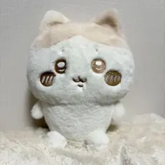 ぬいぱれっと　ハチワレ　ぬいぐるみ