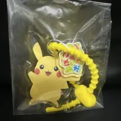Pokoa 포켓몬 피카츄 아크릴 매력