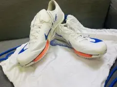 Nike air zoom maxfly 2のサムネイル