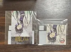 C107 鬼滅の刃　胡蝶しのぶ　チェキ風ブロマイド　ステッカーセット