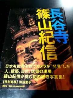 篠山紀信 アート