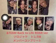 &TEAM back to life トレカソロ　B 蝶々　コンプリート