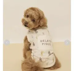 gelato pique スターウォーズ 犬用ウェア　Mのサムネイル